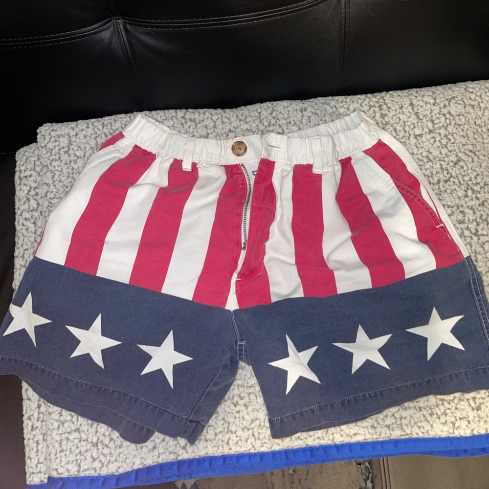 Mens chubbies shorts